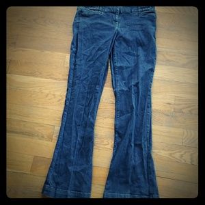 The Limited Denim Trouser Pants